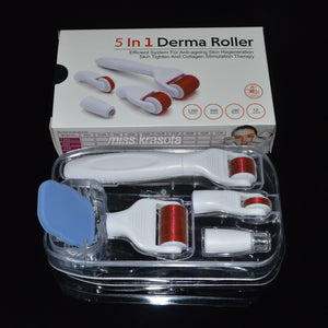 5 in 1 Derma Roller System Kit Face Roller Massager With Needles Facial Care Meso Roller Set